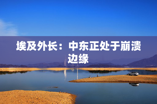 埃及外长：中东正处于崩溃边缘