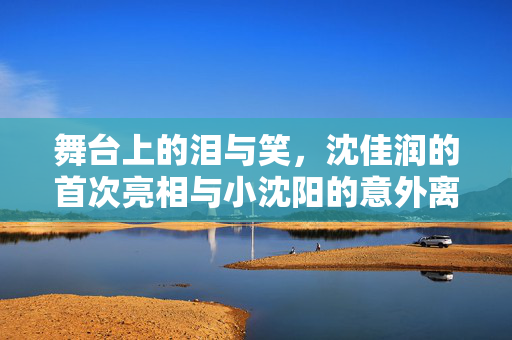 舞台上的泪与笑，沈佳润的首次亮相与小沈阳的意外离场