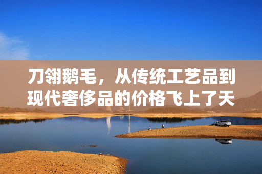 刀翎鹅毛，从传统工艺品到现代奢侈品的价格飞上了天