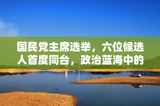 国民党主席选举，六位候选人首度同台，政治蓝海中的激流勇进