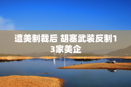 遭美制裁后 胡塞武装反制13家美企