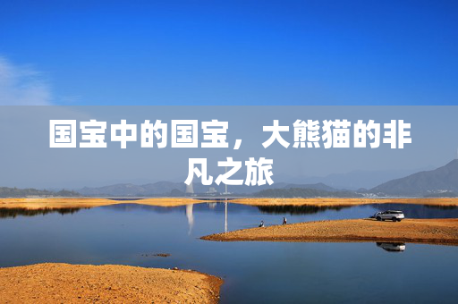 国宝中的国宝，大熊猫的非凡之旅