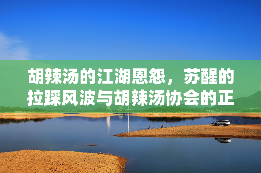 胡辣汤的江湖恩怨，苏醒的拉踩风波与胡辣汤协会的正面回应
