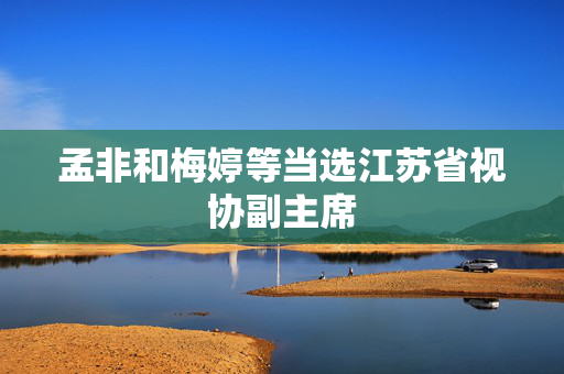 孟非和梅婷等当选江苏省视协副主席