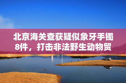 北京海关查获疑似象牙手镯8件，打击非法野生动物贸易的又一重要行动