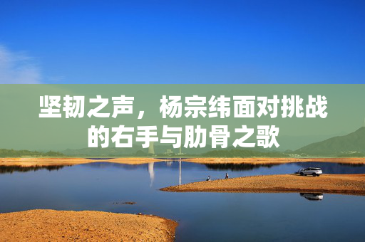 坚韧之声，杨宗纬面对挑战的右手与肋骨之歌