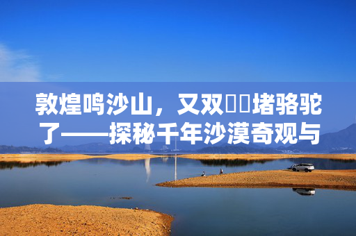 敦煌鸣沙山，又双叒叕堵骆驼了——探秘千年沙漠奇观与文化碰撞