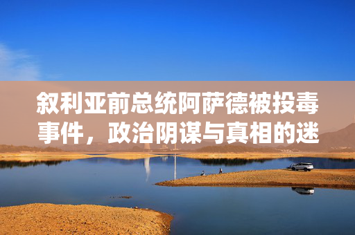 叙利亚前总统阿萨德被投毒事件，政治阴谋与真相的迷雾