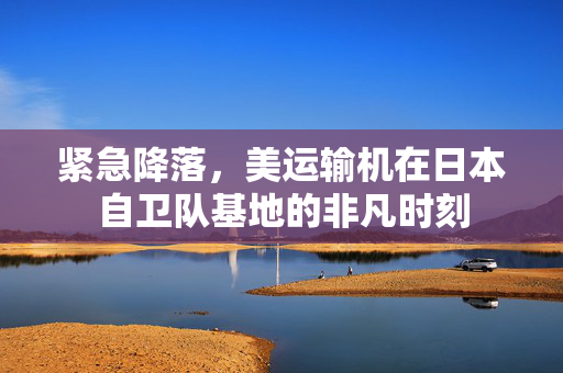 紧急降落，美运输机在日本自卫队基地的非凡时刻