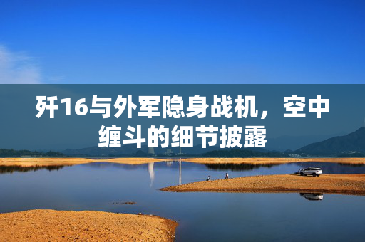 歼16与外军隐身战机，空中缠斗的细节披露