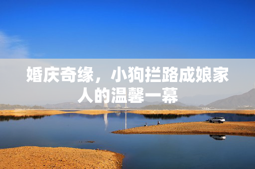 婚庆奇缘，小狗拦路成娘家人的温馨一幕