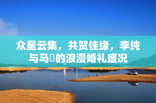 众星云集，共贺佳缘，李纯与马頔的浪漫婚礼盛况