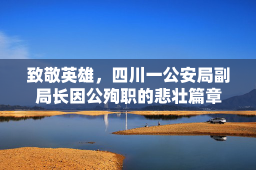 致敬英雄，四川一公安局副局长因公殉职的悲壮篇章