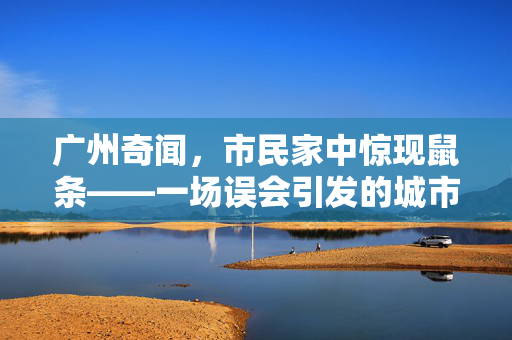 广州奇闻，市民家中惊现鼠条——一场误会引发的城市趣谈