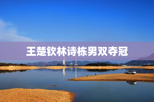 王楚钦林诗栋男双夺冠