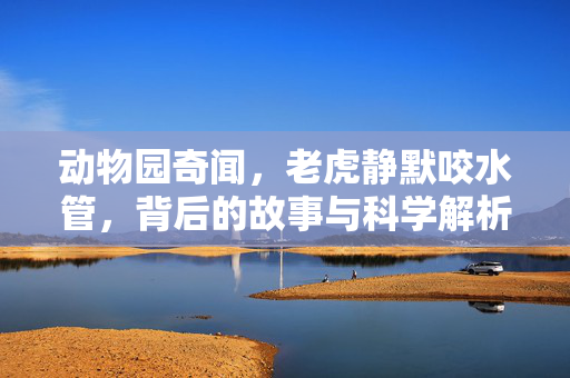 动物园奇闻，老虎静默咬水管，背后的故事与科学解析