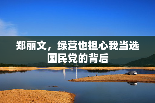 郑丽文，绿营也担心我当选国民党的背后