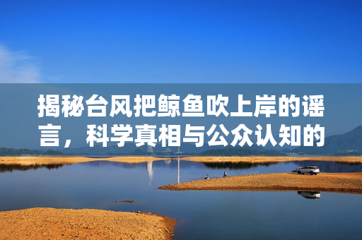 揭秘台风把鲸鱼吹上岸的谣言，科学真相与公众认知的误区