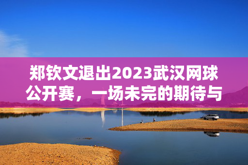 郑钦文退出2023武汉网球公开赛，一场未完的期待与遗憾