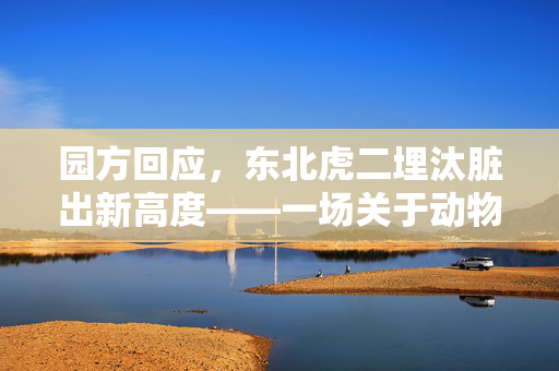 园方回应，东北虎二埋汰脏出新高度——一场关于动物福利与公众教育的深刻反思