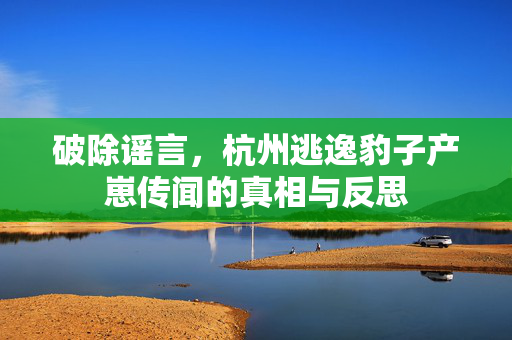 破除谣言，杭州逃逸豹子产崽传闻的真相与反思