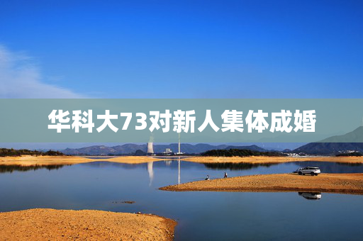 华科大73对新人集体成婚