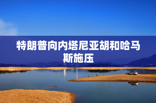特朗普向内塔尼亚胡和哈马斯施压