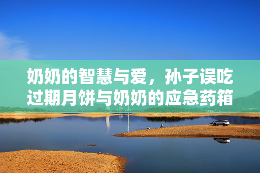 奶奶的智慧与爱，孙子误吃过期月饼与奶奶的应急药箱