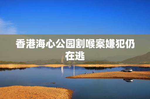 香港海心公园割喉案嫌犯仍在逃