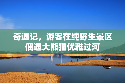奇遇记，游客在纯野生景区偶遇大熊猫优雅过河