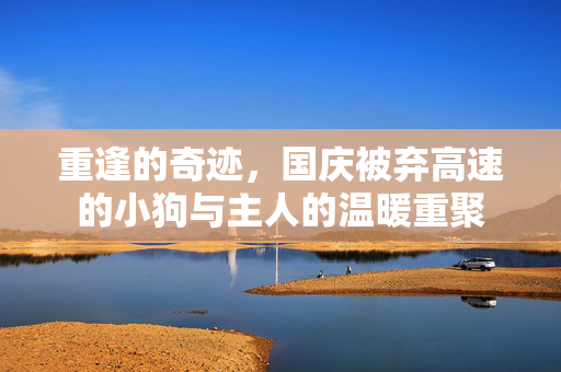 重逢的奇迹，国庆被弃高速的小狗与主人的温暖重聚