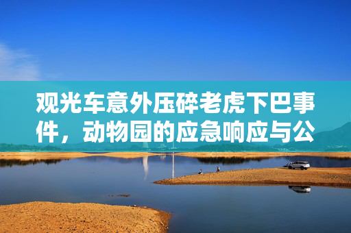观光车意外压碎老虎下巴事件，动物园的应急响应与公众关切