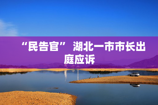 “民告官” 湖北一市市长出庭应诉