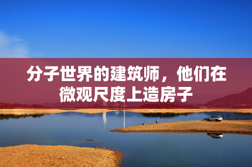 分子世界的建筑师，他们在微观尺度上造房子