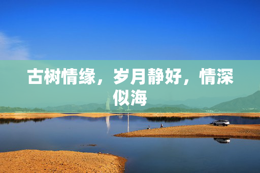 古树情缘，岁月静好，情深似海
