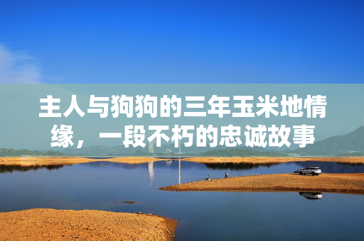主人与狗狗的三年玉米地情缘，一段不朽的忠诚故事