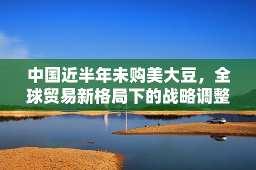 中国近半年未购美大豆，全球贸易新格局下的战略调整与影响分析