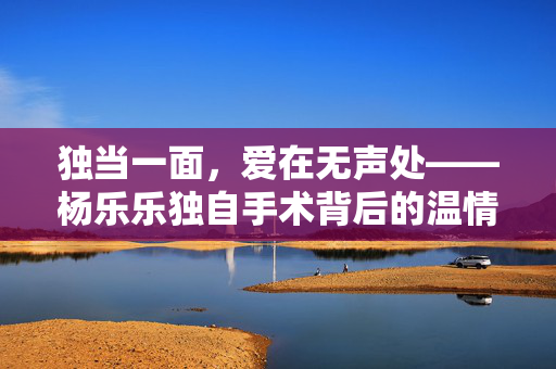 独当一面，爱在无声处——杨乐乐独自手术背后的温情与理解
