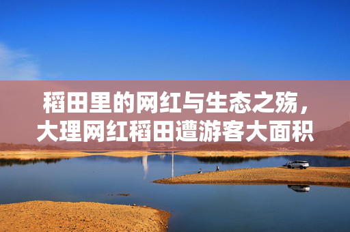 稻田里的网红与生态之殇，大理网红稻田遭游客大面积踩踏事件反思