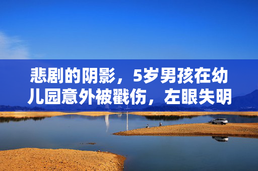 悲剧的阴影，5岁男孩在幼儿园意外被戳伤，左眼失明引发的深思