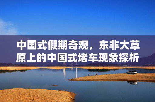中国式假期奇观，东非大草原上的中国式堵车现象探析