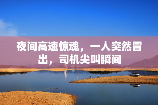夜间高速惊魂，一人突然冒出，司机尖叫瞬间