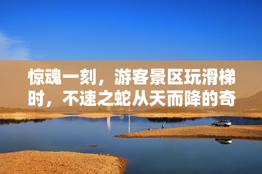 惊魂一刻，游客景区玩滑梯时，不速之蛇从天而降的奇遇记