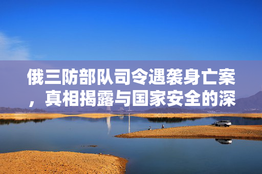 俄三防部队司令遇袭身亡案，真相揭露与国家安全的深刻反思