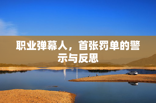 职业弹幕人，首张罚单的警示与反思