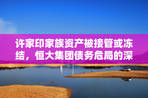 许家印家族资产被接管或冻结，恒大集团债务危局的深度剖析