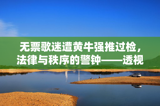 无票歌迷遭黄牛强推过检，法律与秩序的警钟——透视黄牛强推无票歌迷过检票闸机被拘事件