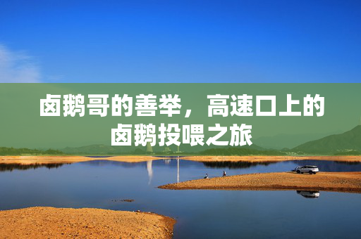 卤鹅哥的善举，高速口上的卤鹅投喂之旅