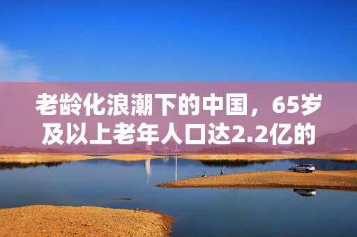 老龄化浪潮下的中国，65岁及以上老年人口达2.2亿的挑战与机遇