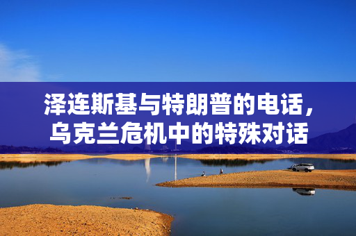 泽连斯基与特朗普的电话，乌克兰危机中的特殊对话